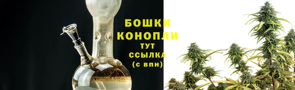 индика Новодвинск