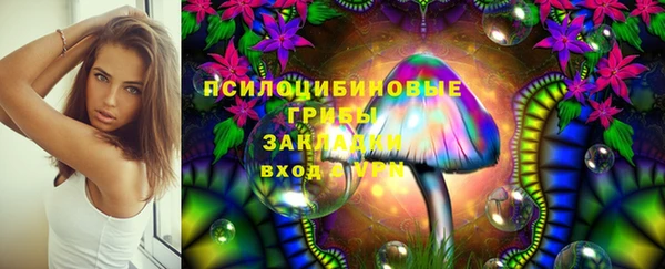 spice Абаза