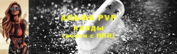 индика Новодвинск