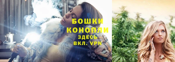 spice Абаза