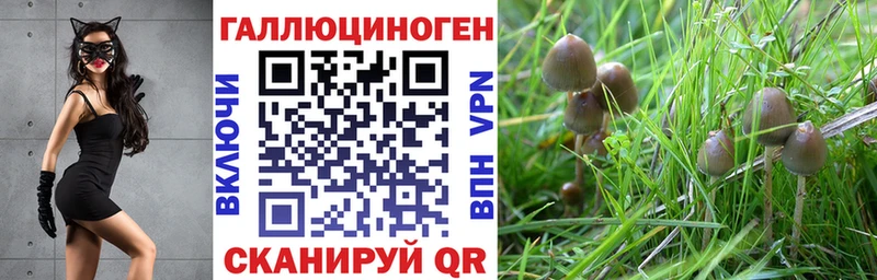 MEGA зеркало  Фокино  Псилоцибиновые грибы ЛСД 